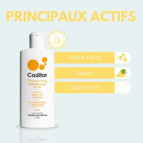 Shampoing Cheveux Secs Caditar – Image 5