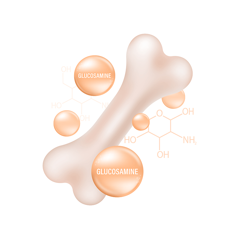 Glucosamine