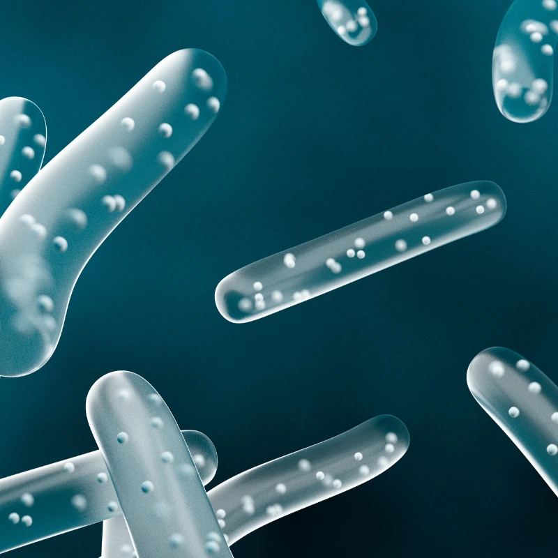 Probiotiques