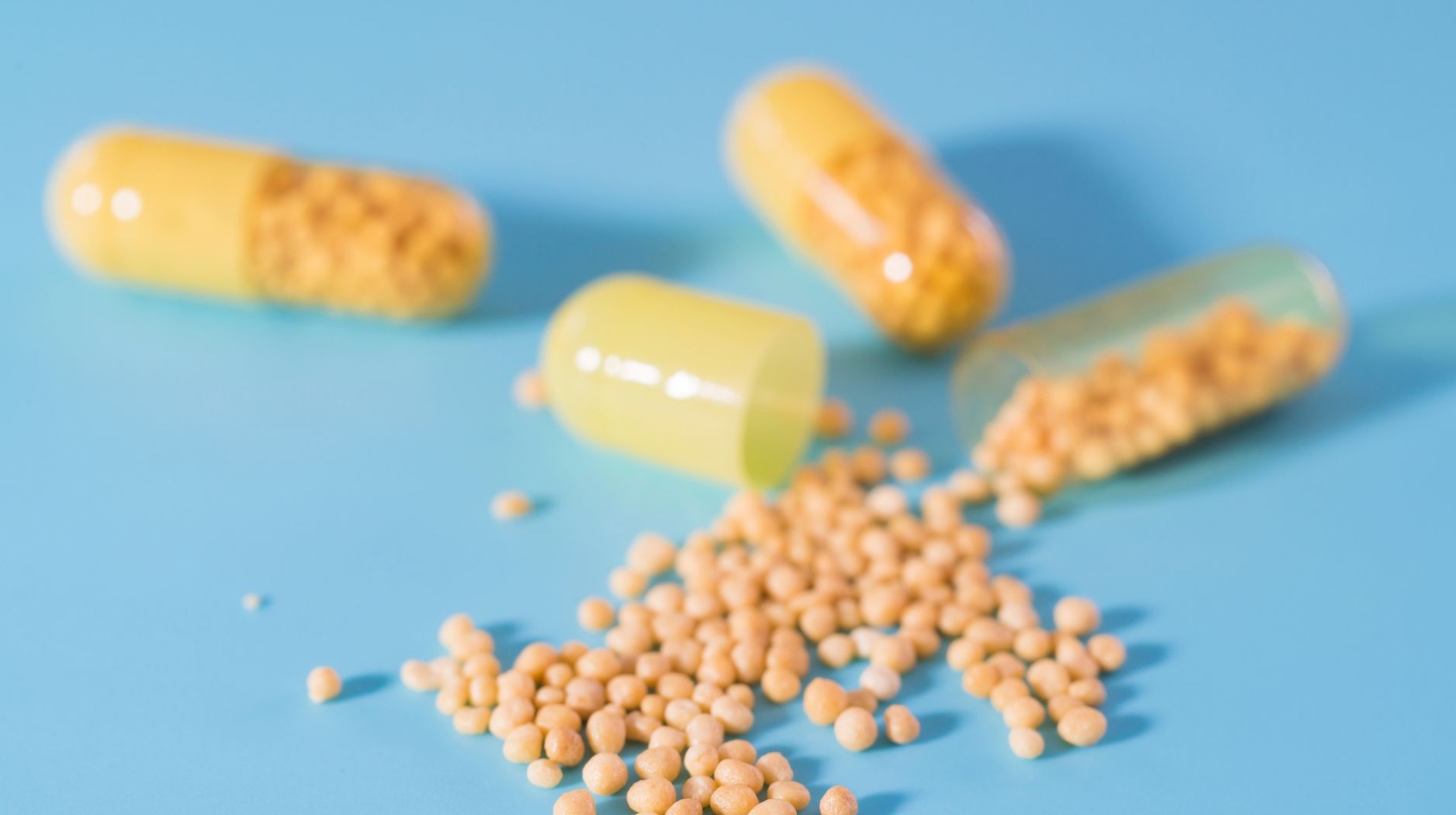 Naturel vs Synthétique : Le Duel des Compléments Alimentaires Dévoilé !