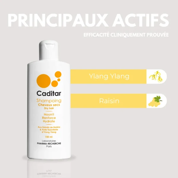 Bio Recherche - ROUTINE HYDRATATION DU CHEVEU