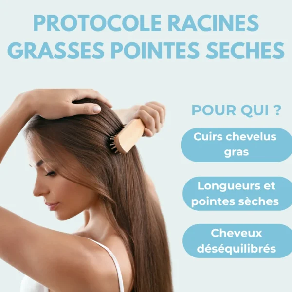 CADITAR - PROTOCOLE RACINES GRASSES POINTES SECHES